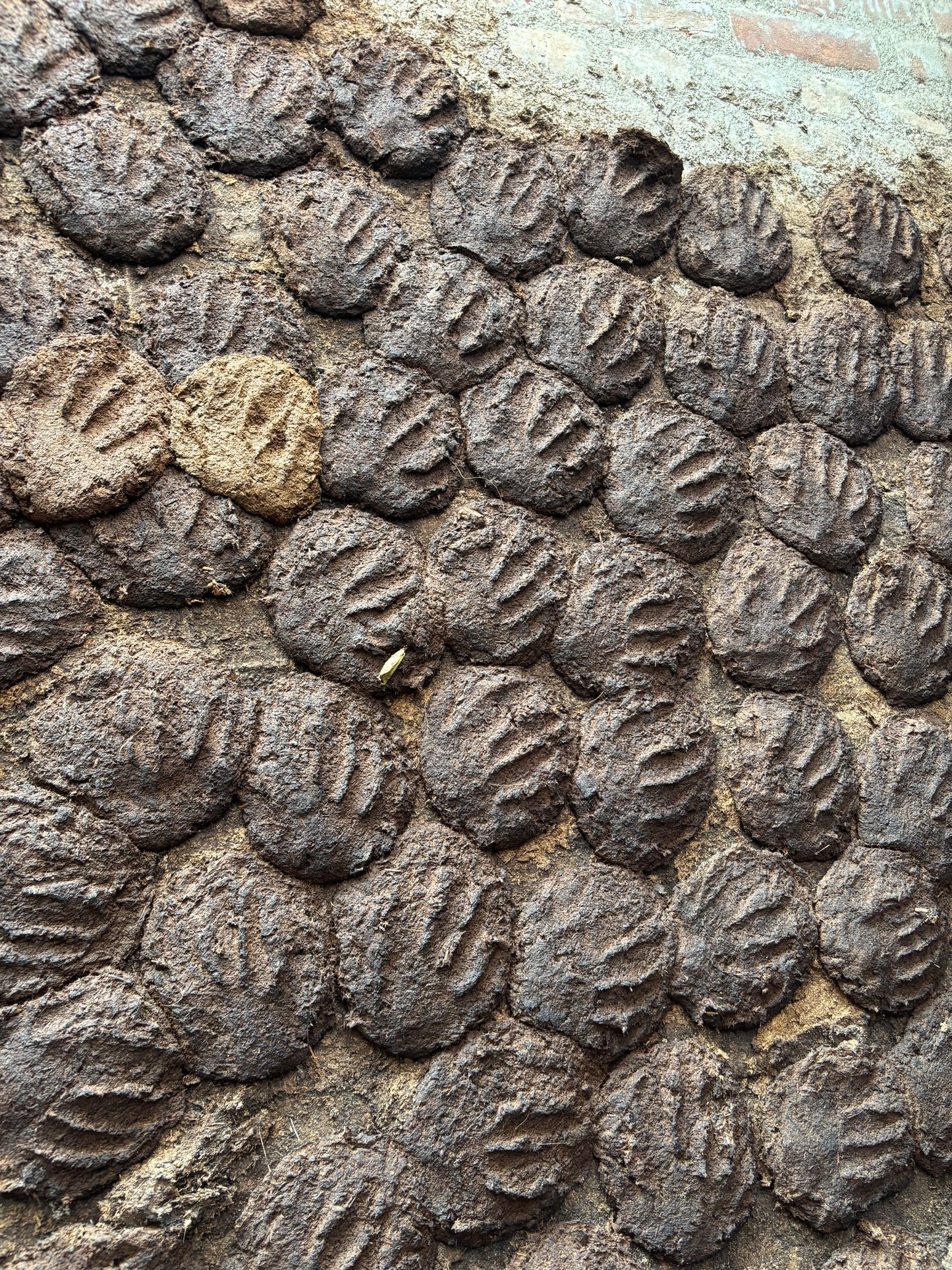 Cow Dung Cakes (Upla/Goithha) - 1 kg