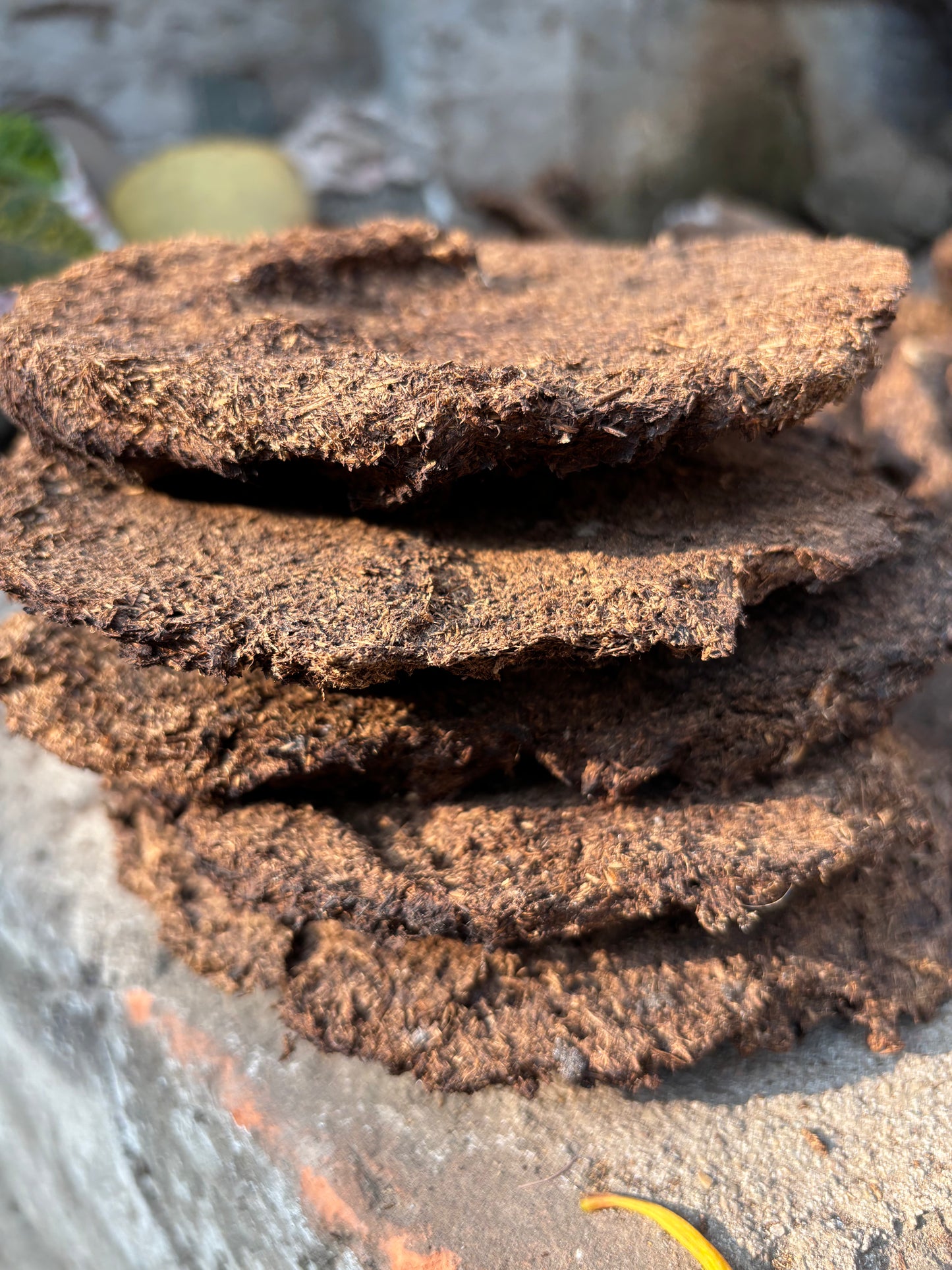 Cow Dung Cakes (Upla/Goithha) - 1 kg