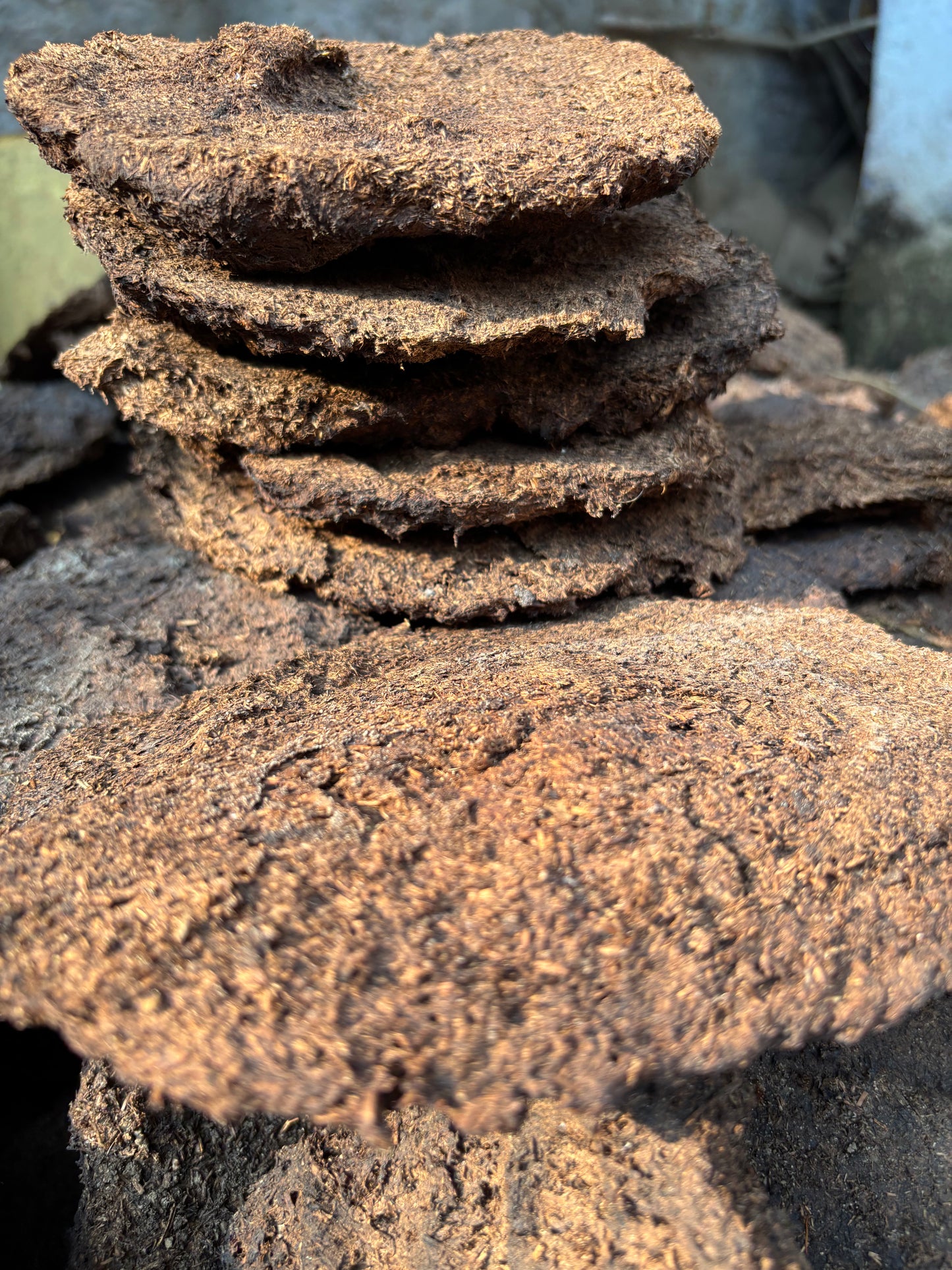 Cow Dung Cakes (Upla/Goithha) - 1 kg